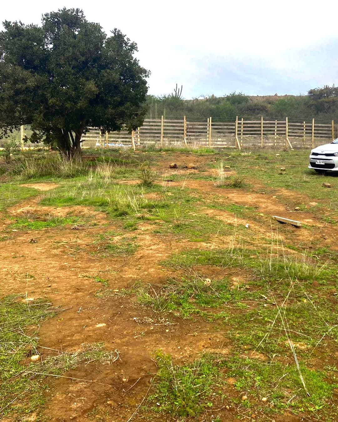 Parcela de 5.000 m² en Litueche - Rene - foto 3