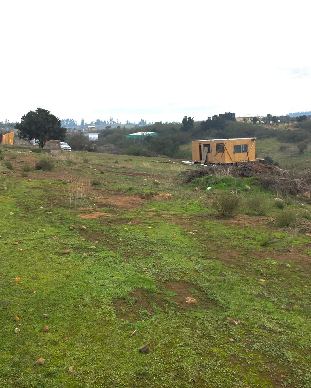 Parcela de 5.000 m² en Litueche - Rene - foto 2
